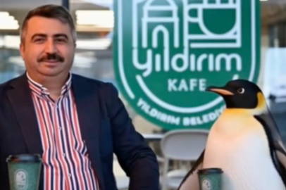 Penguen sürüden ayrılırken belediyeler boş durmadı