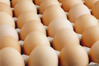 Kişi başına düşen yumurta üretimi 15 adet azaldı