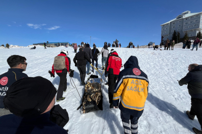 Uludağ'da kızak faciası: Dereye uçan tatilciyi JAK kurtardı