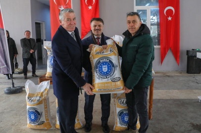 Büyükşehir'de üreticiye fidan ve tohum desteği