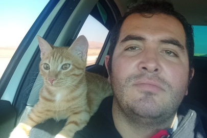 Kaybolan kedisi için binlerce kilometre yol yaptı