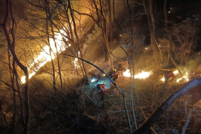 Güney Kore’de 3 gündür devam eden orman yangınında 190 hektarlık alan küle döndü