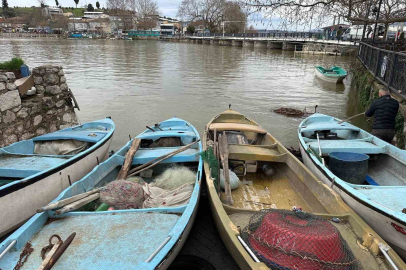 İstilacı İsrail sazanları balıkçılara gelir kaynağı oldu