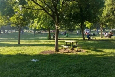 Hamitler Mesire Alanı, 3 ay kapalı kalacak