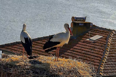 Beklenen buluşma gerçekleşti