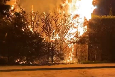 Sebepsiz yere ateşe verilen ağaç itfaiyeyi harekete geçirdi