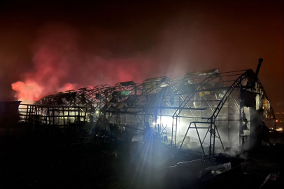 Bursa'da çiftlikte yangın: 580 kanatlı hayvan telef oldu