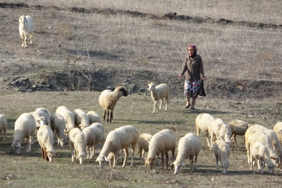Bursa'da boğazından bıçaklanarak öldürülen kadının eski görüntüleri ortaya çıktı
