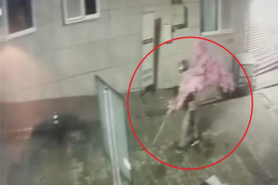 ‘Bir kafeden daha fazlası’ yazısını fark etti, ağacı sırtlayıp gitti O anlar kamerada