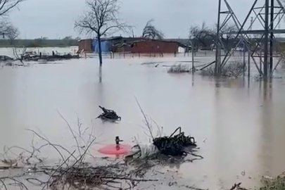 Sağanak Bursa'yı vurdu: Tarlalar göle döndü, hayvanlar mahsur kaldı