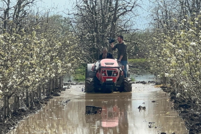 Bursa'da yüzlerce dönüm şeftali ve armut bahçesi su altında