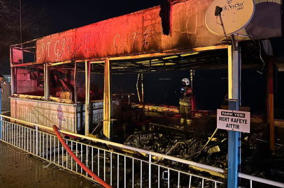 Kurşunlu Sahili'nde gece yarısı yangın paniği