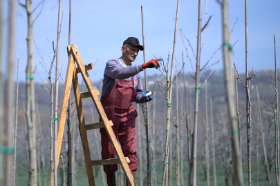 Kestel’de bahar mesaisi