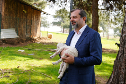 Gürsu Butik Hayvanat Bahçesi yeni sakinlerini ağırlıyor