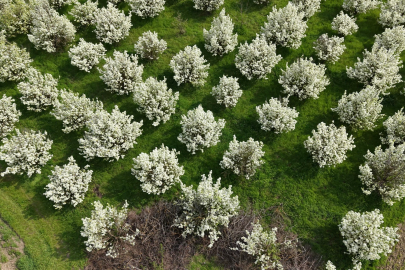 Bursa'da kartpostallık görüntüler