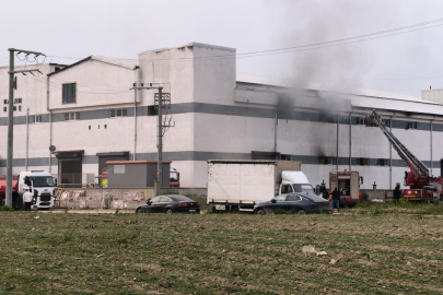 Bursa'da mobilya fabrikasında korkutan yangın