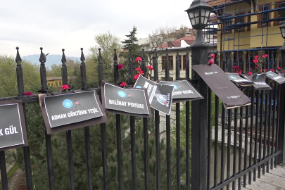 Bursa'da Setbaşı Köprüsü karanfillerle donatıldı