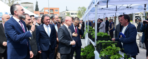 Kestel'de üreticiye 6 bin ahududu fidanı desteği