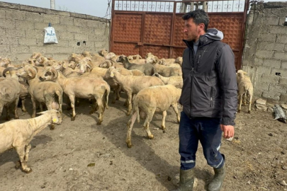 Kurbanlık parasıyla evlenmişti şimdi doğacak bebeği için kullanacak