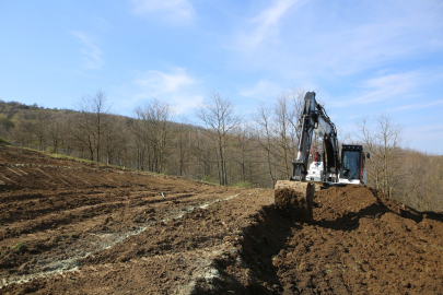 Nilüfer'de atıl araziler bereketleniyor