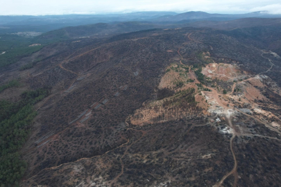Bursa'da tarihin en büyük orman yangınında yaralar böyle sarıldı