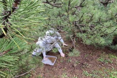 Doğanın sessiz kahramanları görev başında