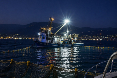 Gemlik Körfezi'nde sardalya avcılığı başladı