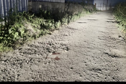 Bursa'da depoya kurşun yağmuru: Avukat hayatını kaybetti, kardeşi yaralandı