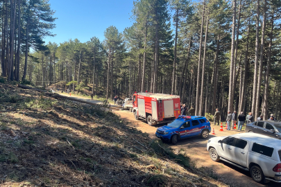 Uludağ'da inanılmaz olay...Kesilen ağaç seyir halindeki kamyonetin üzerine devrildi: 1 ölü