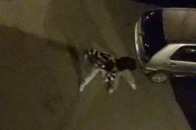 Bursa’da sokak ortasında boks ringlerini aratmayan kavga kamerada