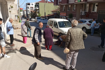 Yolun karşısına geçerken ticari aracın çarptığı yaşlı kadın hayatını kaybetti