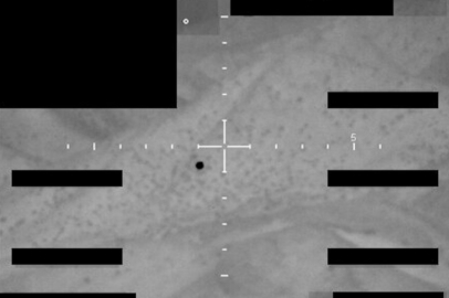 Pentagon, UFO dosyalarını yayınlamaya başladı