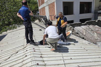 Mudanya’da can pazarı...