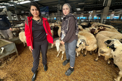 İki genç kuzen celep, Bursa'daki kurban pazarında rekabeti artırdı