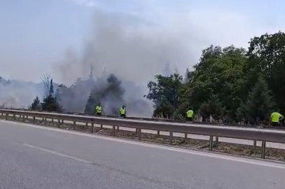 İzmir-Bursa kara yolunda alevler korkuttu