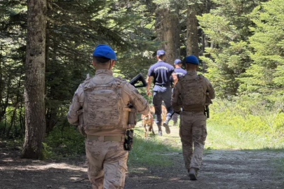 Uludağ'ın zümrüt yeşili ormanları Jandarma'ya emanet