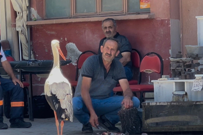 Balıkçı Ahmet ile leyleğin 10 yıllık kahvehane randevusu