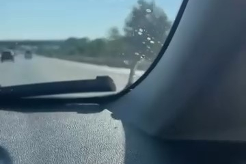 Seyir halindeki aracın kaputunda yılan paniği
