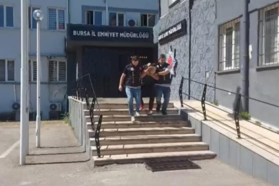 33 yıl hapis cezasıyla aranıyordu, polisten kurtulmak için kayısı topluyormuş gibi yaptı