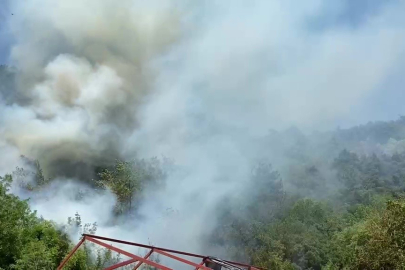 Bursa'da ormanlık alanda yangın