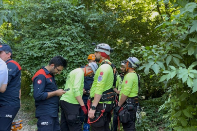 Uludağ'a ıhlamur toplamaya gitti, uçurumdan düşerek hayatını kaybetti