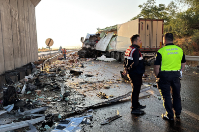 Köprüdeki beton bariyere çarpan tavuk yüklü kamyonun sürücüsü hayatını kaybetti