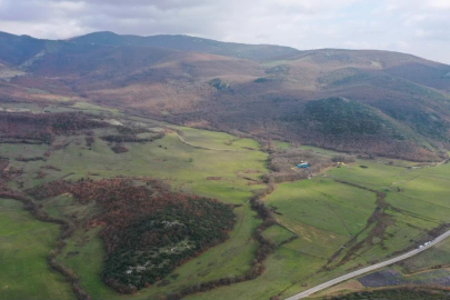 Yenişehir Burcun’a yapılacak çimento fabrikasını yargı durdurdu