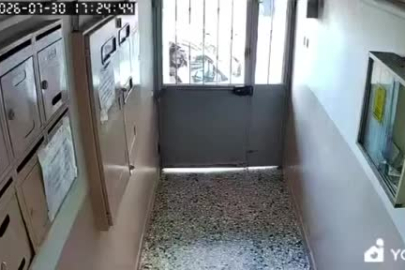Apartman kapısını tekmeleyerek açan kurye kamerada
