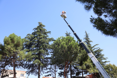 Osmangazi’de Yeşil Alanlar Titizlikle Korunuyor