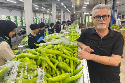 Avrupa sofralarının tercihi Bursa ürünleri
