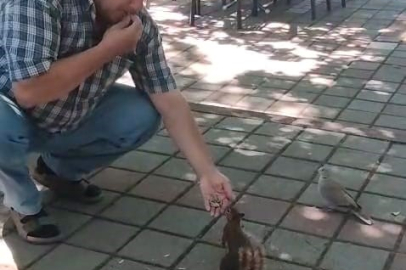 İnegöl’de sincap ve kumruyu elleriyle besledi