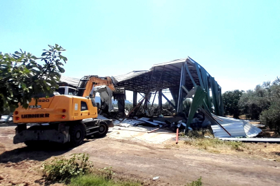 Bursa'da zeytinliğe yapılan kaçak depo böyle yıkıldı