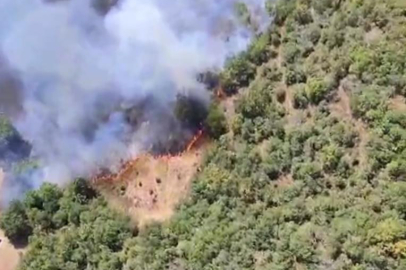 Bursa'da bir orman yangını daha