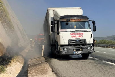 Canlı hayvan nakil aracı otoyolda alev aldı